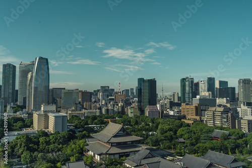 東京のビルからの景色