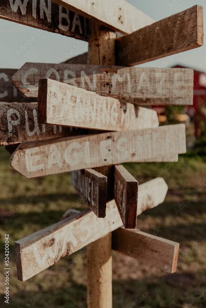 Corn Maze Pumpkin Patch sign post in fall Corn Maze Pumpkin Patch sign post in fall