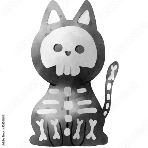 Skull Ghost Cat photo