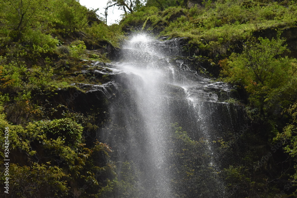 Obraz premium Beautiful Waterfall