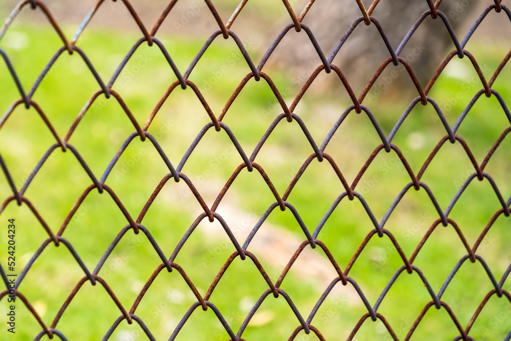 iron chain link fence against green meadow iron chain link fence against green meadow