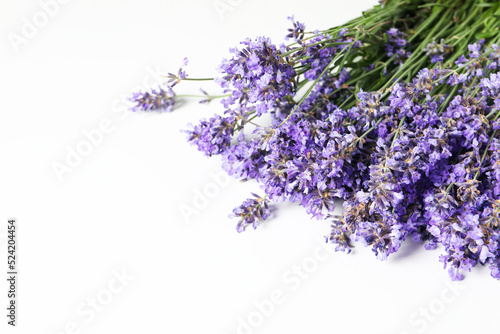 Lavender flowers on white background  space for text