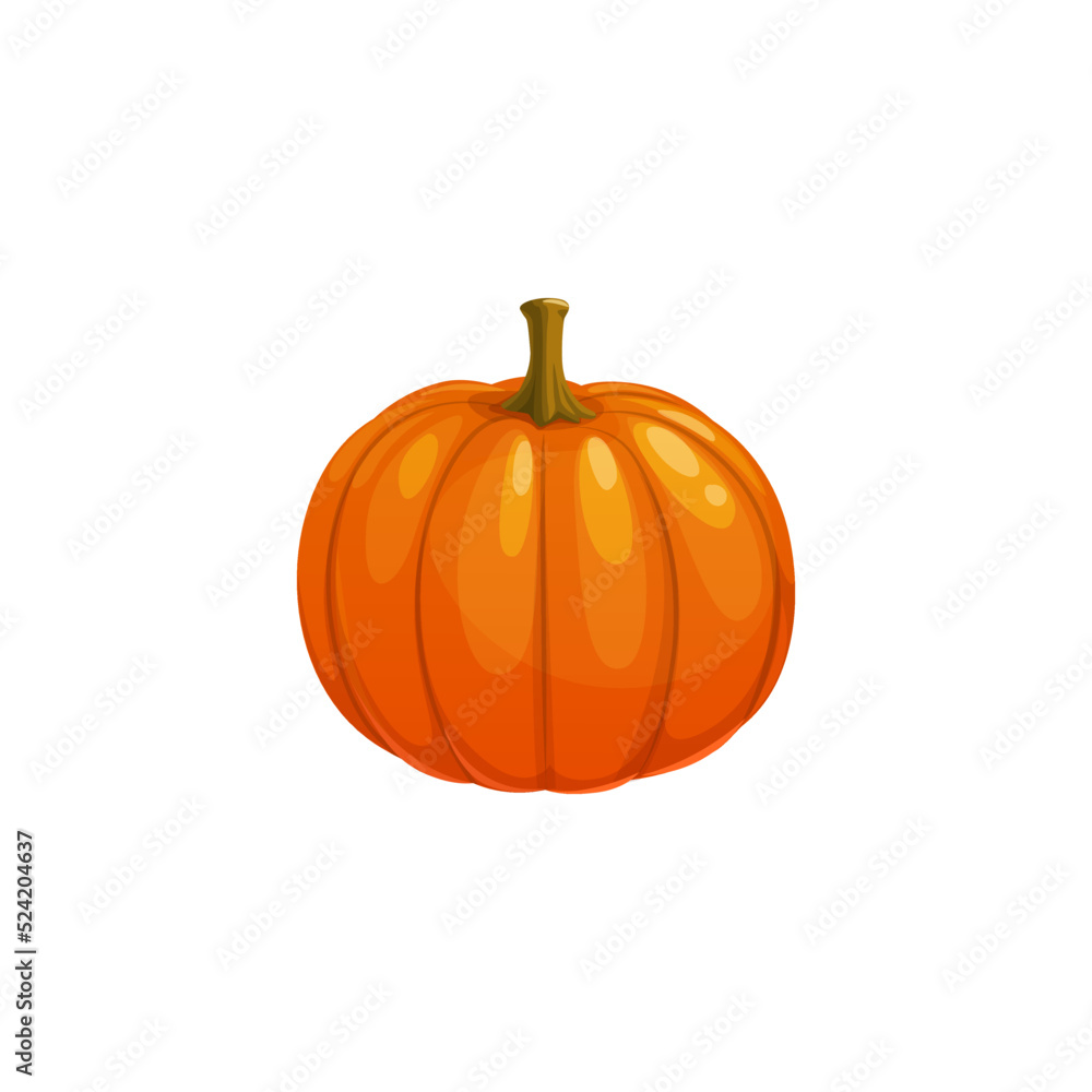 Pumpkin isolated vector icon on white background. Ripe raw plant, vegetable harvest for Thanksgiving Day or Halloween symbol. Cartoon element for design Stock Vector | Adobe Stock Pumpkin isolated vector icon on white background. Ripe raw plant, vegetable harvest for Thanksgiving Day or Halloween symbol. Cartoon element for design Stock Vector | Adobe Stock