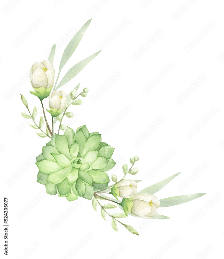 Floral bunches. Succulent bouquets. Watercolor illustration. Romantic floral hand drawn illustration.