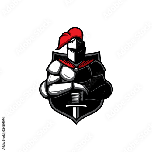 Medieval knight in metal suit with sword in hands and shield at his back isolated fifteenth century soldier. Warrior in helmet with red feathers and cape, hero in metal costume with weapon