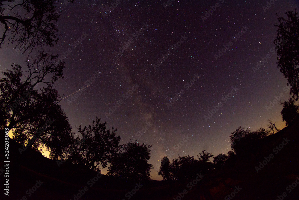 Naklejka premium Milchstraße im Dunkelsteinerwald