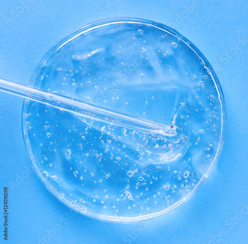 serum gel closeup in petri dish on a blue background   © Екатерина Клищевник