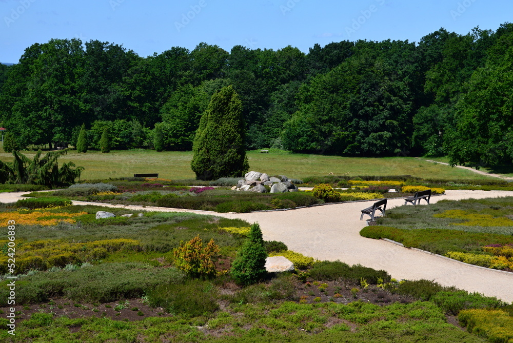 Heath Garden in the Town Schneverdingen, Lower Saxony
