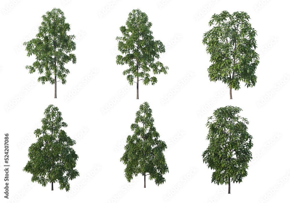 Naklejka premium Tree on a transparent background 