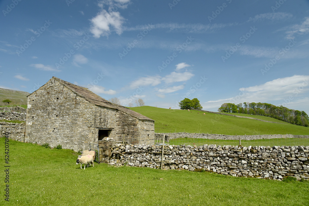 Path through fields near Hawes in Wensleydale, Yorkshire Dales