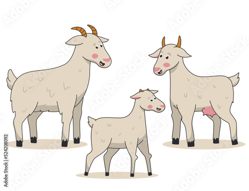 A family of goats stands on a white background