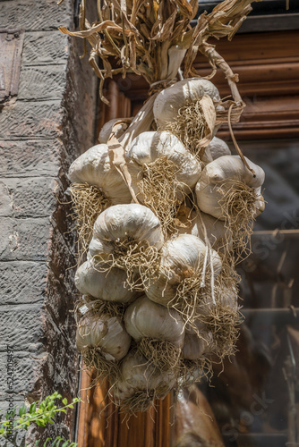 "Aglione" garlic, Siena, Italy
