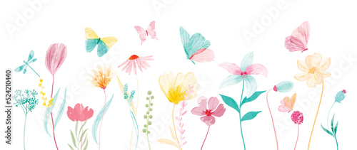 Set of botanical vector element. Collection of butterfly, dragonfly, flowers, wildflowers in hand drawn. Watercolor floral garden illustration design for logo, wedding, invitation, decor, print.