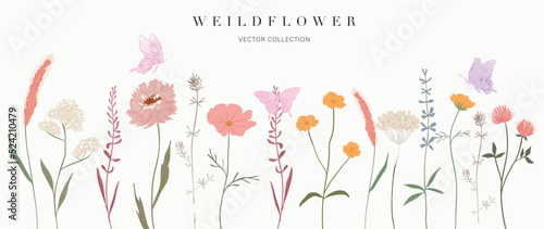 Set of botanical vector element. Collection of butterfly, flowers, wildflowers, wild grass in hand drawn. Watercolor floral garden illustration design for logo, wedding, invitation, decor, print.