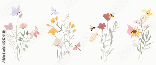 Set of botanical bouquet vector element. Collection of dragonfly  bee  butterfly  flowers  wildflowers  wild grass. Watercolor floral illustration design for logo  wedding  invitation  decor  print