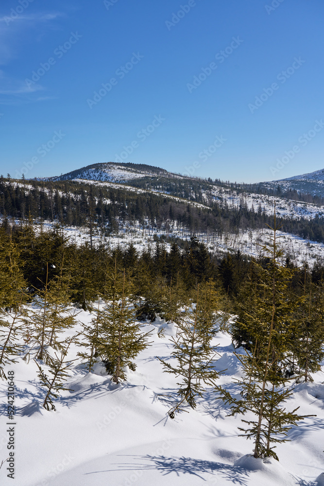Winter at Silesian Beskid on european Bialy Krzyz in Poland