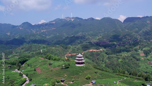 Aerial photography of Sanjiang Dong Nationality Alpine Ecological Tea Garden Tea Mountain photo