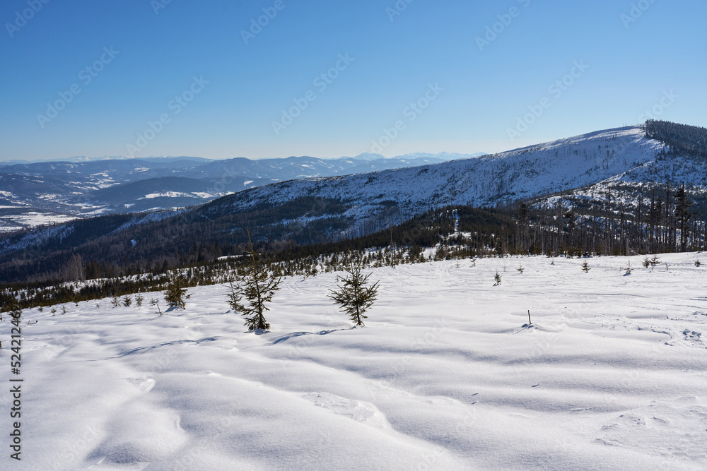 Snowy terrain and Barania Gora at Silesian Beskid on Bialy Krzyz, Poland