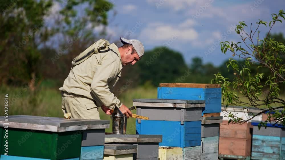 Working at the rural apiary. Male adult beekeeper checks up honey frames. Lots of bees flying around. Nature backdrop. Working at the rural apiary. Male adult beekeeper checks up honey frames. Lots of bees flying around. Nature backdrop.