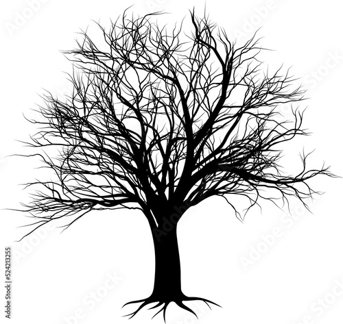 Tree silhouette