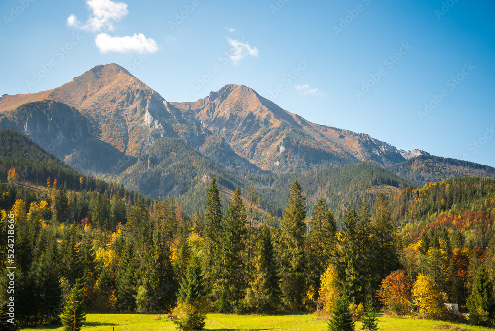 Amazing Slovakia mountains landscape. Bielovodska valley in the High tatras. 