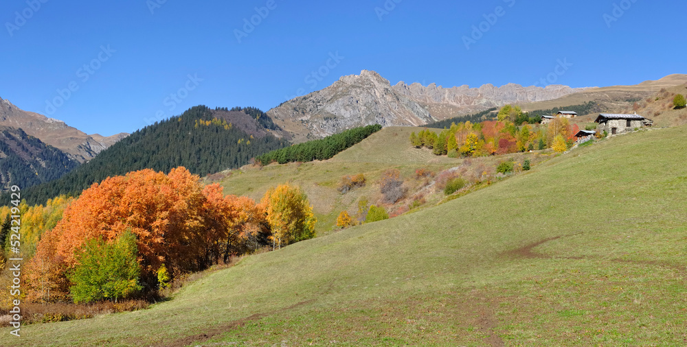 beautiful landscape in alpine valley mountain  with colorful trees  in autumn under clear blue sky