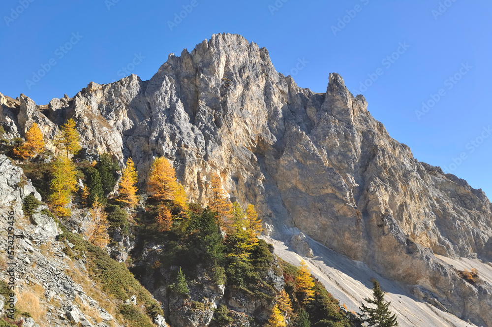 rocky peak  alpine mountain under blue sky with fir and yellow larch trees in autumn season