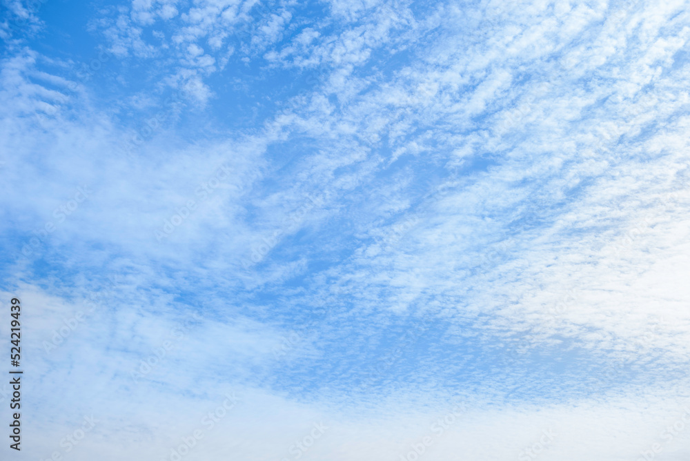 The blu sky with white small cloud The blu sky with white small cloud