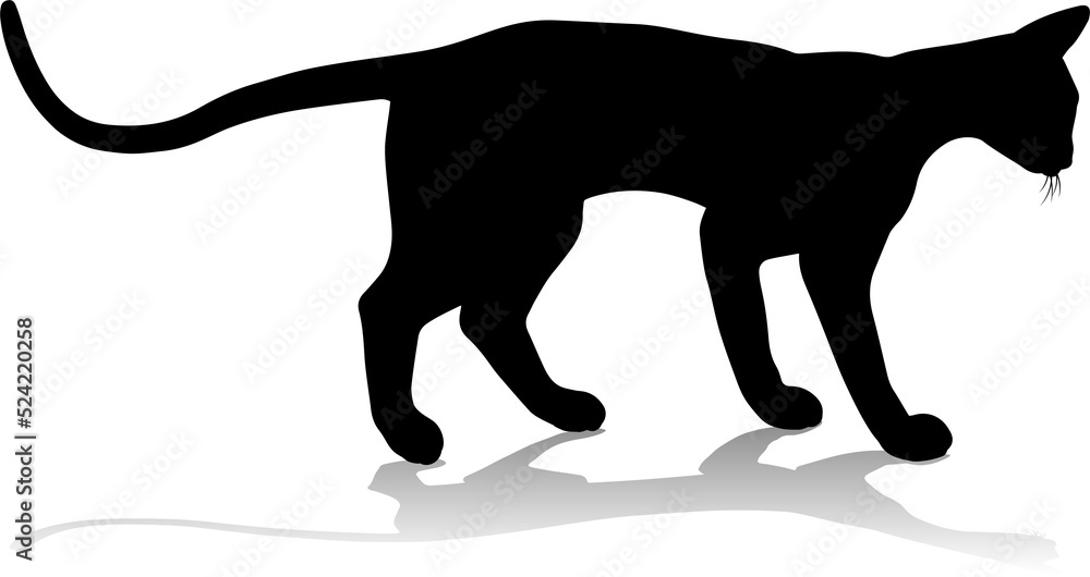 Silhouette Cat Pet Animal