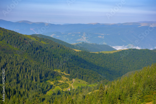 ukrainian carpathian mountains in summer. coniferous forest on the hillside. svydovets ridge in the distance. warm sunny weather