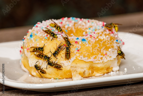 A dangerous Wasp on food photo