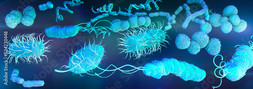 Bacteria, illustration photo