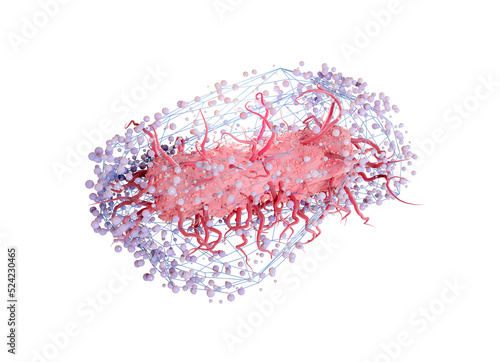 Escherichia coli bacteria in a net, conceptual illustration photo