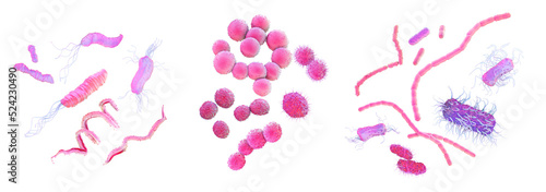 Different bacterial shapes, illustration photo
