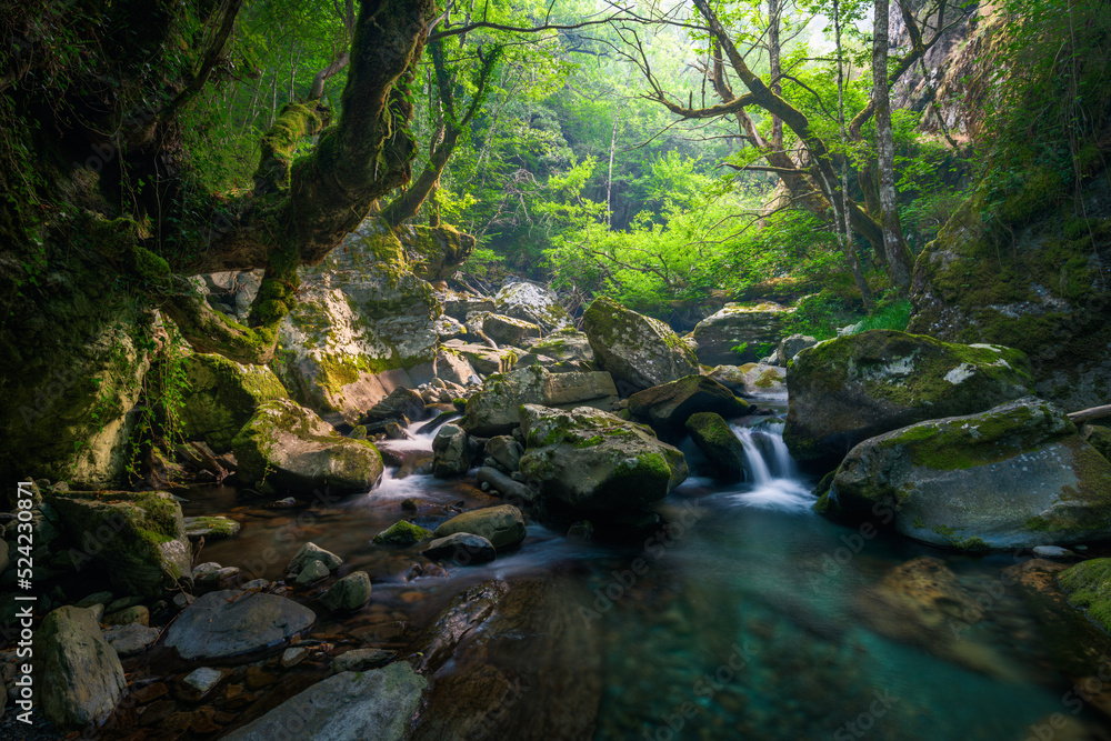 Small waterfalls and pools of turquoise waters next to old oak trees Small waterfalls and pools of turquoise waters next to old oak trees