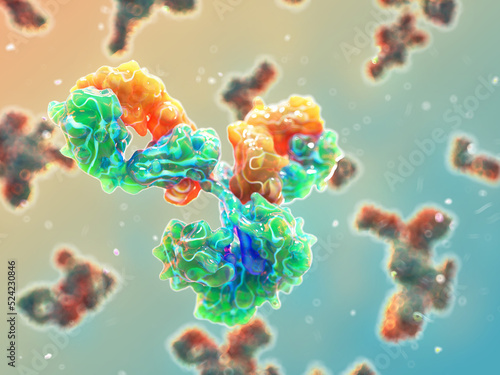 IgG antibody, illustration photo