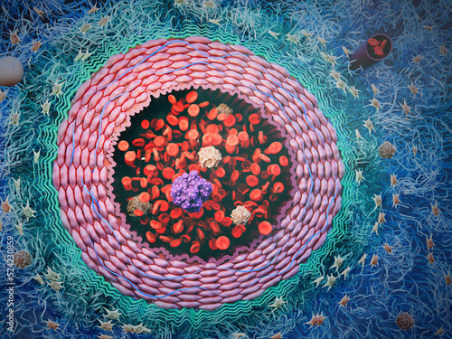 Artery with blood cells and CTC, illustration photo