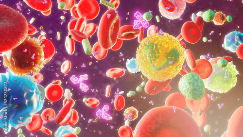 Blood cells with IgG antibodies and bacteria, illustration photo