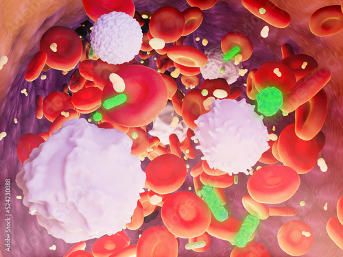 Blood cells in a blood vessel with bacteria, illustration photo