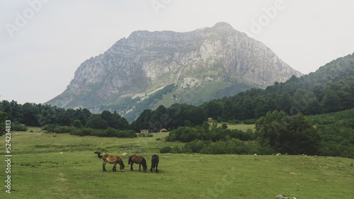 Landscape of an enormous mountain in the background and with three horses eating the green grass of the ground
