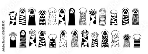 Big set of Cat paw. Dog paw. Cat breed. Doodle animal foot, cute cartoon kitten and puppy paws, wild and domestic animals foots. vector drawing kitty and dog different breed pet.