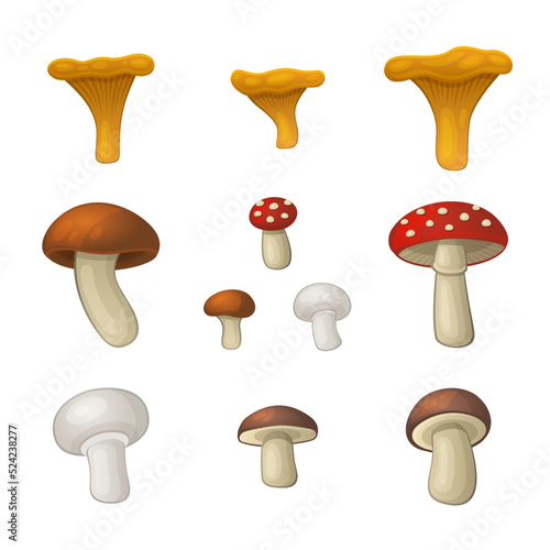 Mushroom Icons Set on White Background. Vector