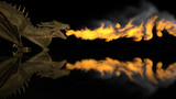 Realistic dragon breathes fire on a black background on a reflective surface. 3d rendering