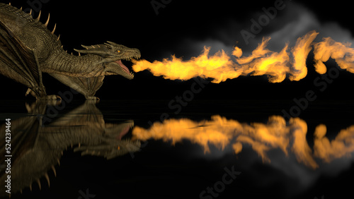Realistic dragon breathes fire on a black background on a reflective surface. 3d rendering © merlin74