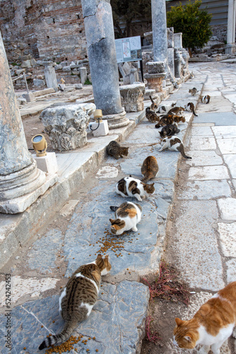 Ephesus Ancient City and Ep...
