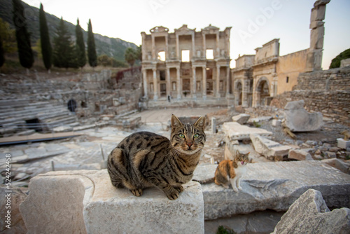 Ephesus Ancient City and Ep...
