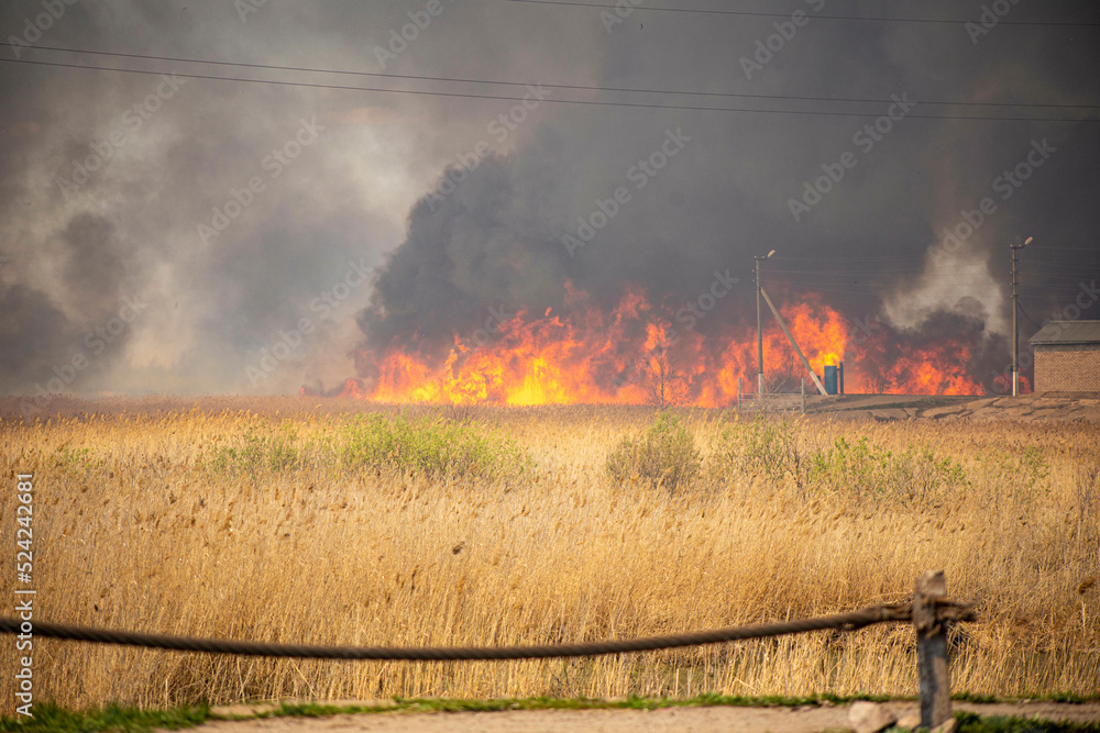 a strong fire near the city, the smoke of the atmosphere with toxic gases from fires