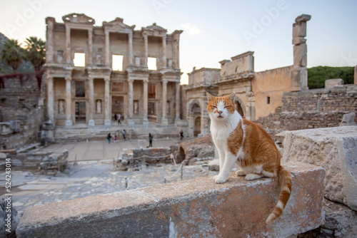 Ephesus Ancient City and Ep...