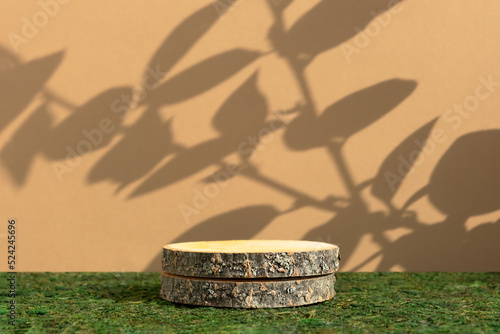 Wooden slice podium on green moss on beige background with leaves shadows. Premium empty scene for product promotion  beauty  natural eco cosmetic. Showcase  display case.