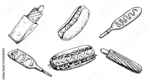 Hot dog in sketch style collection. Classic, french hot dog and corn dog. Hand drawn vintage style. Best for menu and packaging. Vector illustrations.
